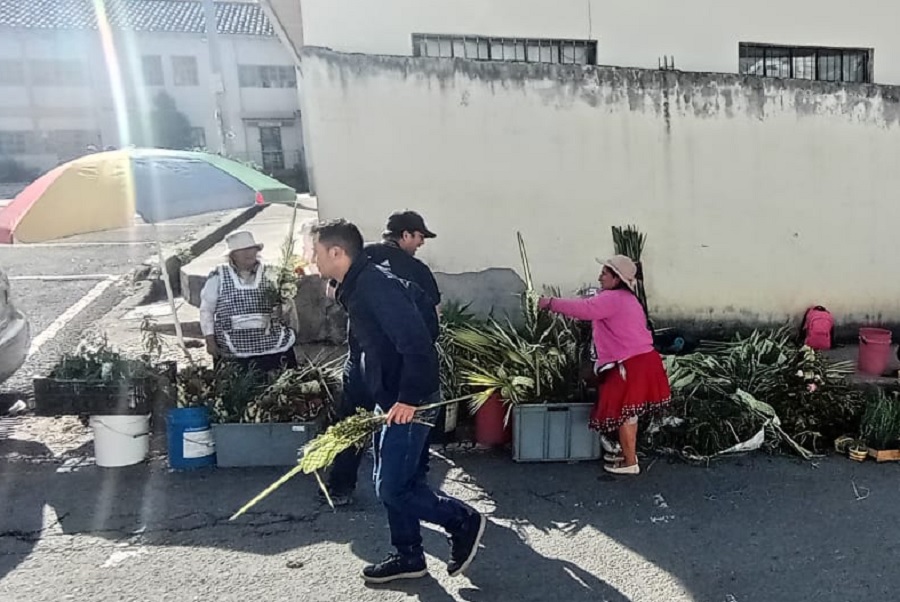 Gestión Ambiental controla comercialización de especies vegetales prohibidas